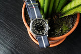Blue and White Loop Seatbelt Single Pass Watch Strap
