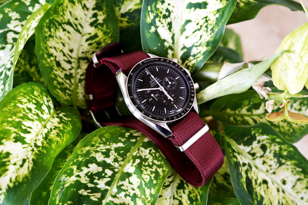 Garnet Loop Seatbelt Watch Strap