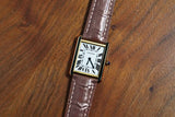 Brown Alligator Fluorine Rubber Watch Strap